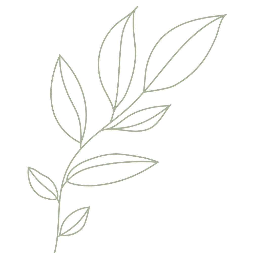 leaf icon
