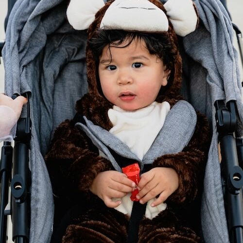 florida baby in stroller
